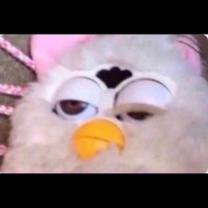 Meet your Posher, Jesse